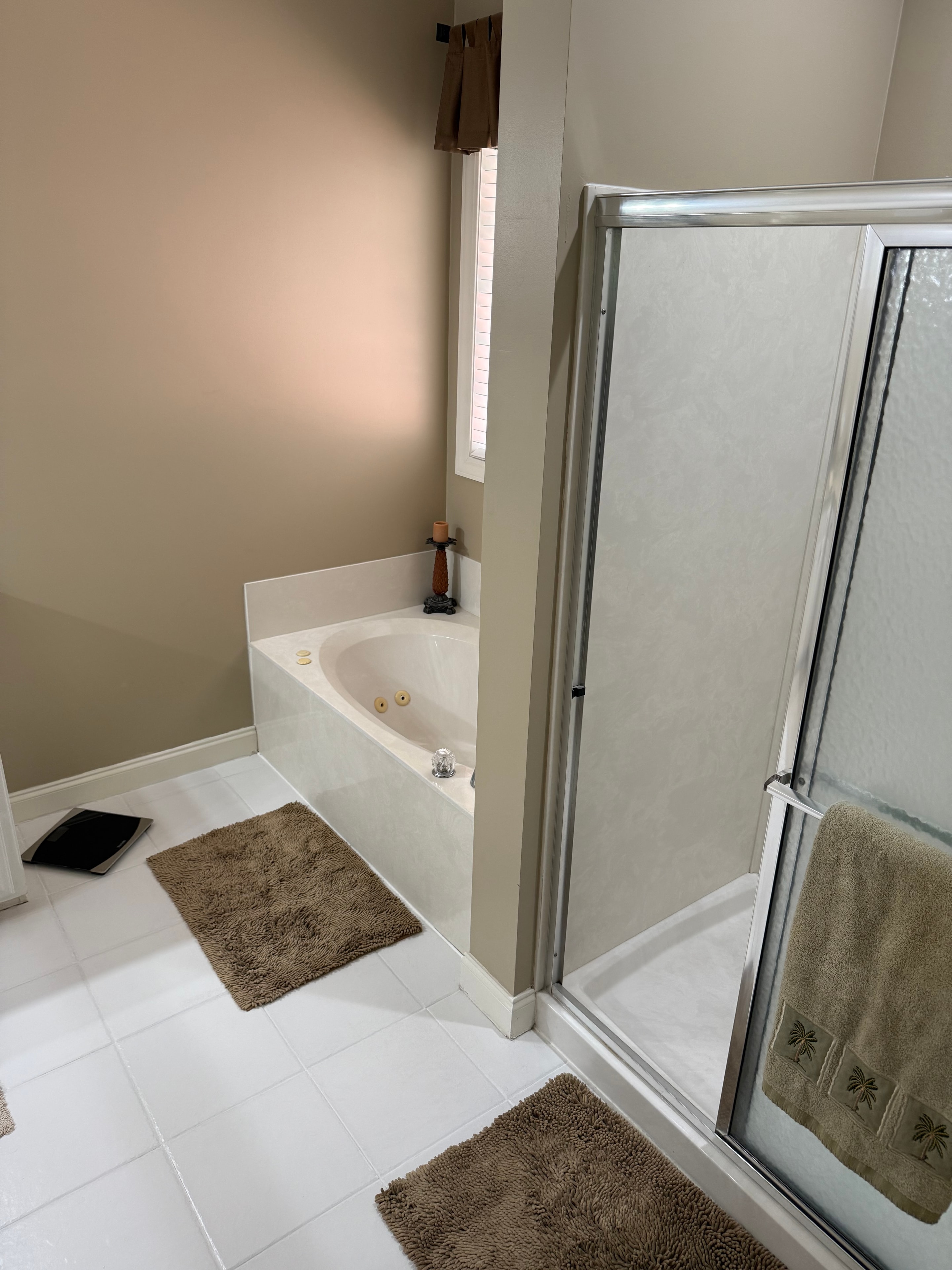 Master Bath Refresh before